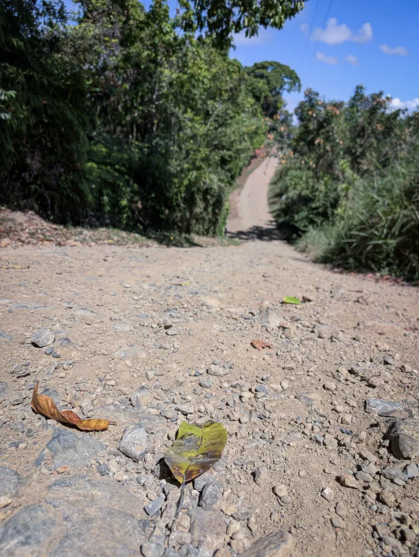 Unbefestigter Schotterweg schlängelt sich durch grünen Regenwald mit dichter tropischer Vegetation an beiden Seiten