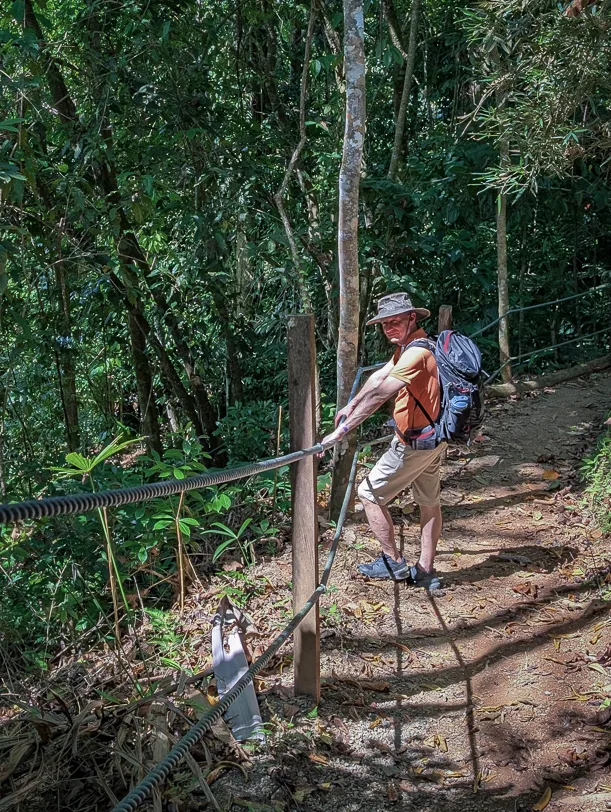 Wanderer mit Rucksack und Hut geht eine natürliche Holztreppe hinunter durch dichten grünen Tropenwald