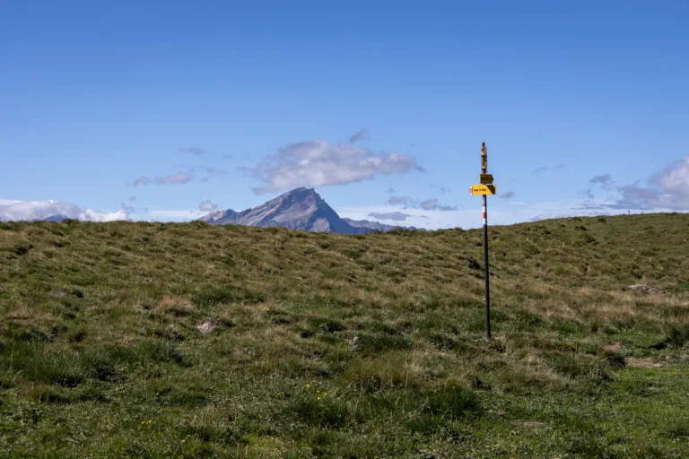 Sattel der Schäfermulde mit Sicht auf den Piz Beverin