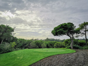 Abschlag aus dem Pinienwald von Quinta da Lago South