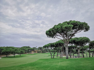 Von Pinien gesäumter Fairway von Quinta da Lago South