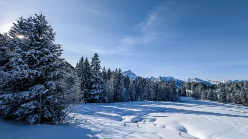 Amden Schneeschuhtour Panorama Egg-Röhr-Trail 702