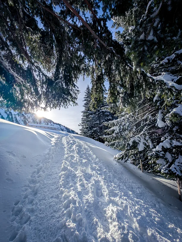 Schneeschuhtour Amden 702
