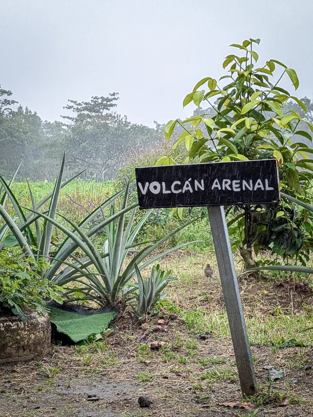 Holzschild mit der Aufschrift 'Volcán Arenal' steht zwischen Ananaspflanzen und tropischer Vegetation