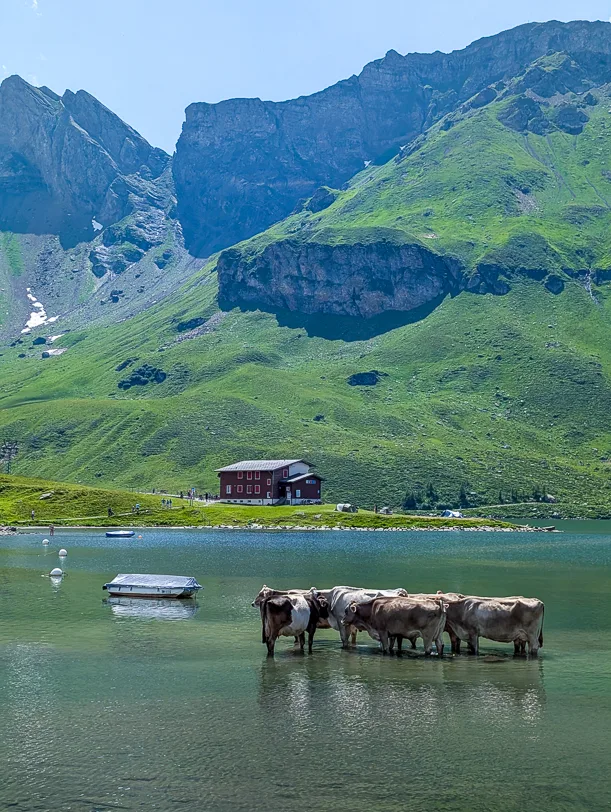 Wanderung Melchsee-Frutt